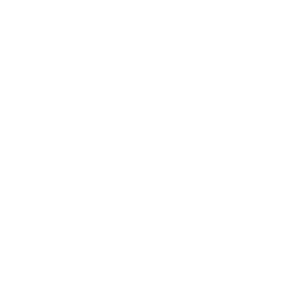 Website Development